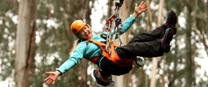 Treetop-Adventure-at-Otway-6.jpg