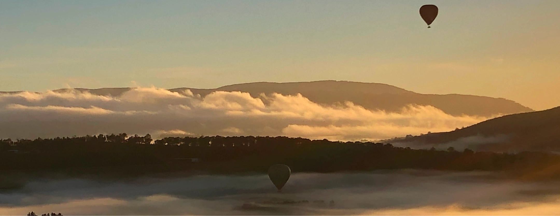 Yarra-Valley_mid-banner.webp