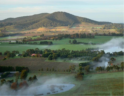 Yarra_Valley_Flight_breakfast.webp