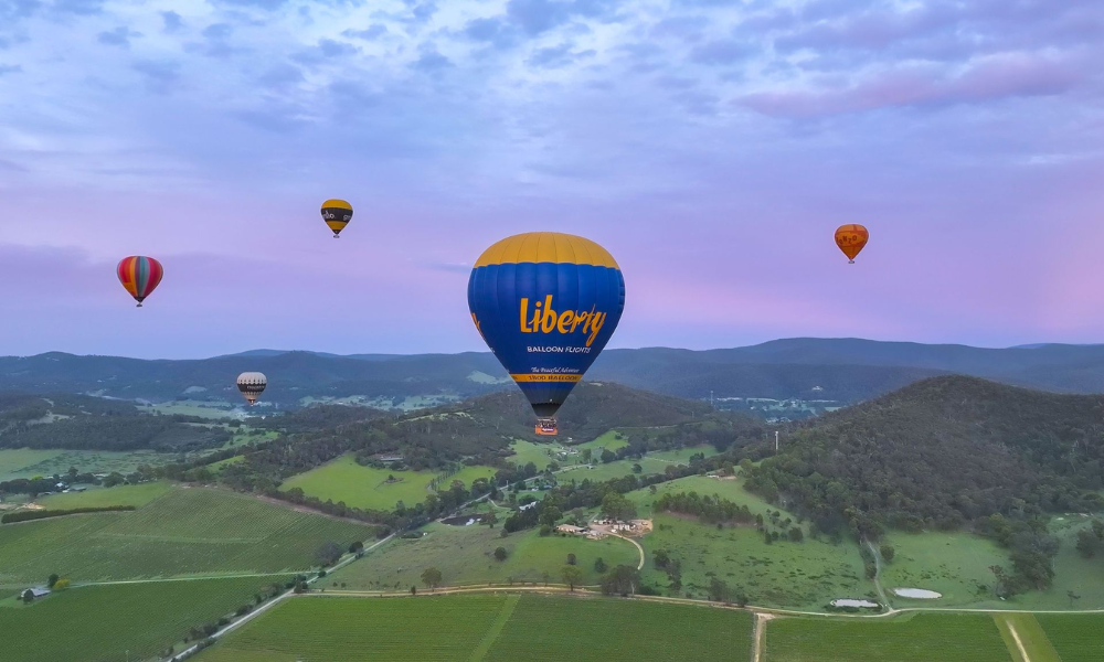 Hot air balloon over misty Yarra Valley vineyards at sunrise